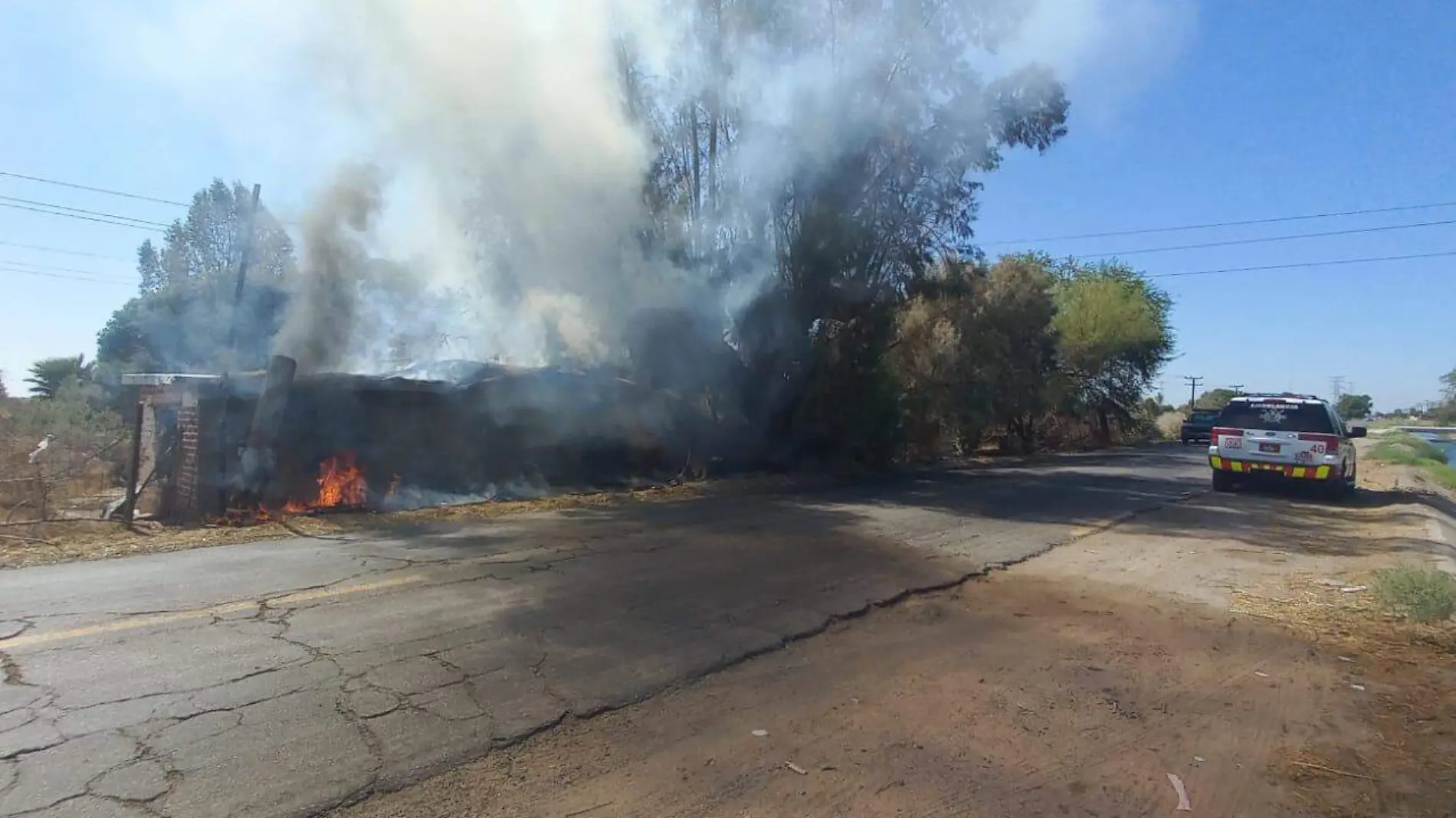 Nuevamente alguien causó incendio de ramas y árboles en un predio abandonado localizado como a 200 metros de la carretera lateral del ejido San Luis